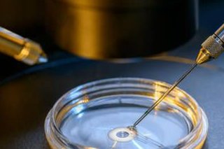 格鲁吉亚试管婴儿生？格鲁吉亚试管婴儿资讯？