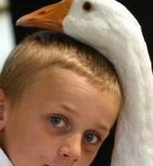 2026年揭秘湖南单身试管费用，您的生育之旅需要多少钱？