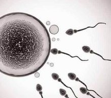 淄博允许单身做试管助孕吗？2026助孕造娃有4家可选择