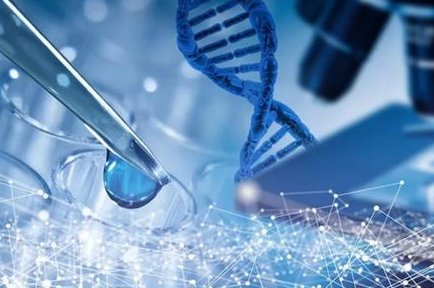 泰国十大试管婴儿生殖医院是哪几家？